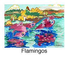 Flamingos